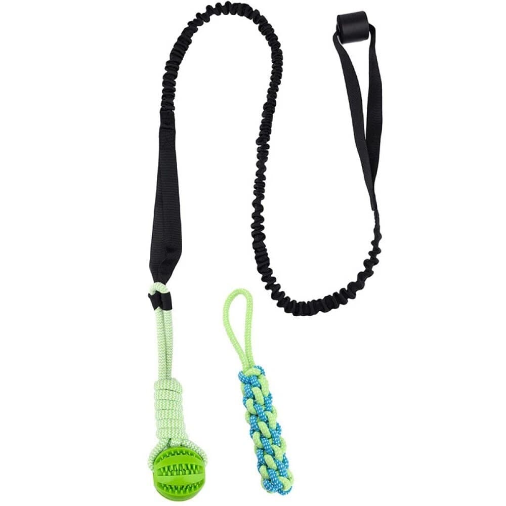 Dog Rope Toys Interactive Dog Bungee Toy With 2Pcs Chewing Rope For Most Dogs AU Green