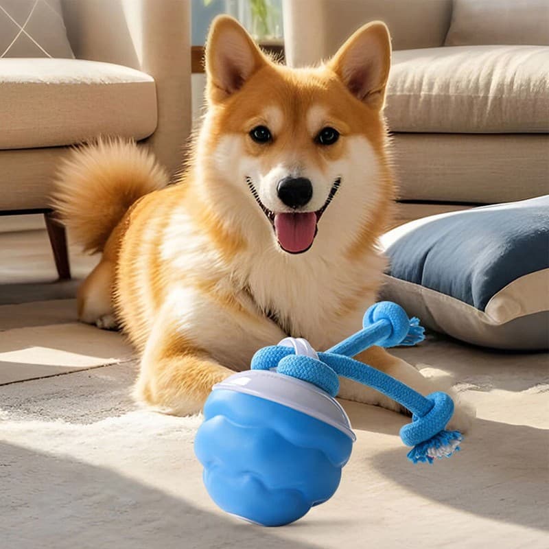 The Chase Buddy Dog Boredom Stimulating Toy Smart Pet Puppy Ball With Ropes